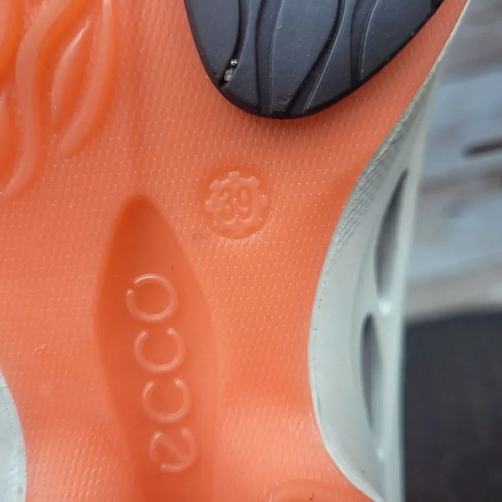 Ecco fresh clean